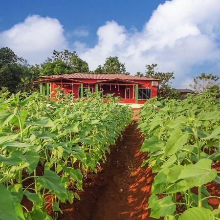 Bed and Breakfast Aarya Farm Bhom Экстерьер фото
